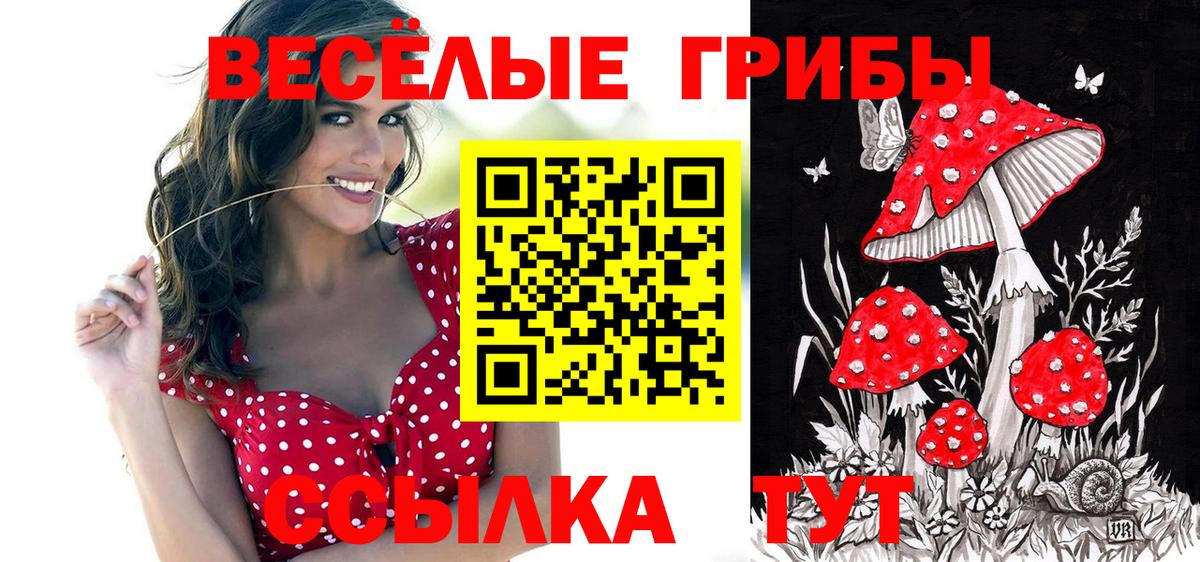 Псилоцибиновые грибы Psilocybe Холмск